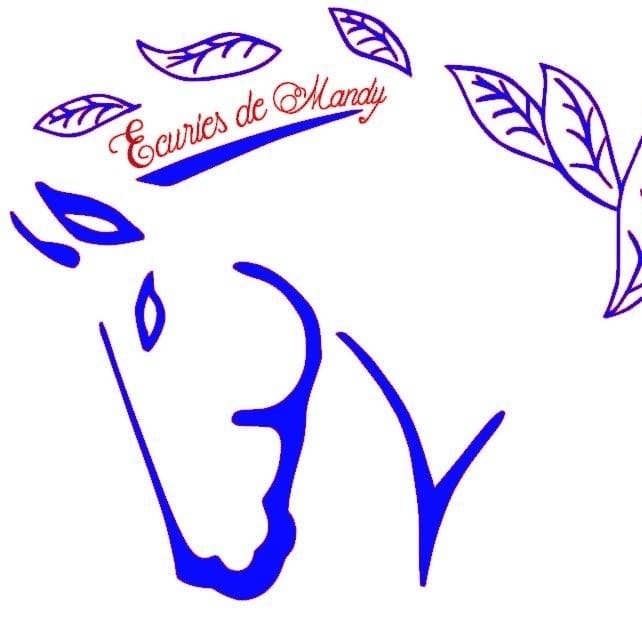 logo Ecuries de Mandy tête cheval